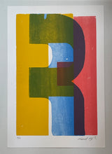 Load image into Gallery viewer, Fragmented Alphabet print series