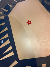 Load image into Gallery viewer, Mercury Rev gig poster