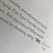 Load image into Gallery viewer, Bifur Specimen