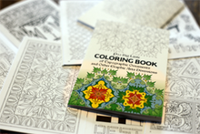 Load image into Gallery viewer, P22 Specimen Chapbooks