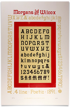 Load image into Gallery viewer, Poetic Specimen